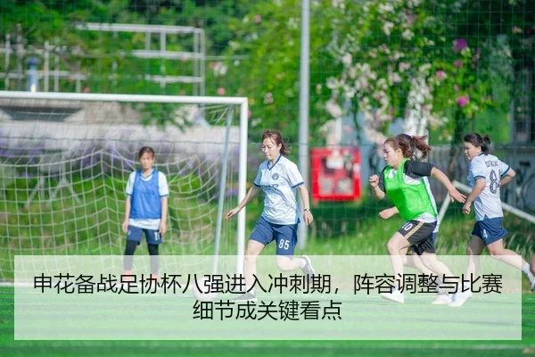 申花备战足协杯八强进入冲刺期，阵容调整与比赛细节成关键看点（Bet365）